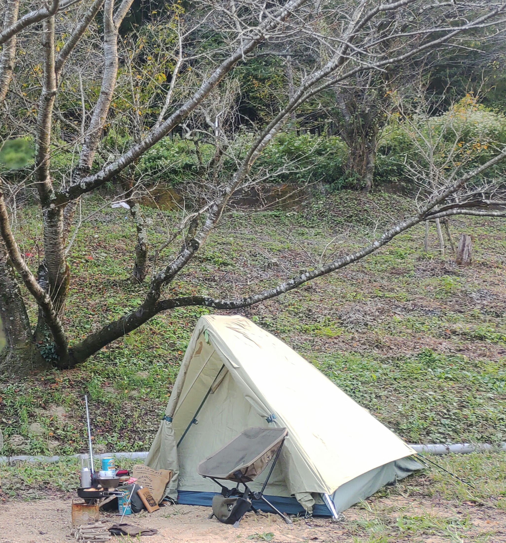 mont-bell ムーンライト1型 登山 テント/タープ 011292004 : ムーンライト テント 1型 春夏秋用 1人用 モンベル mont