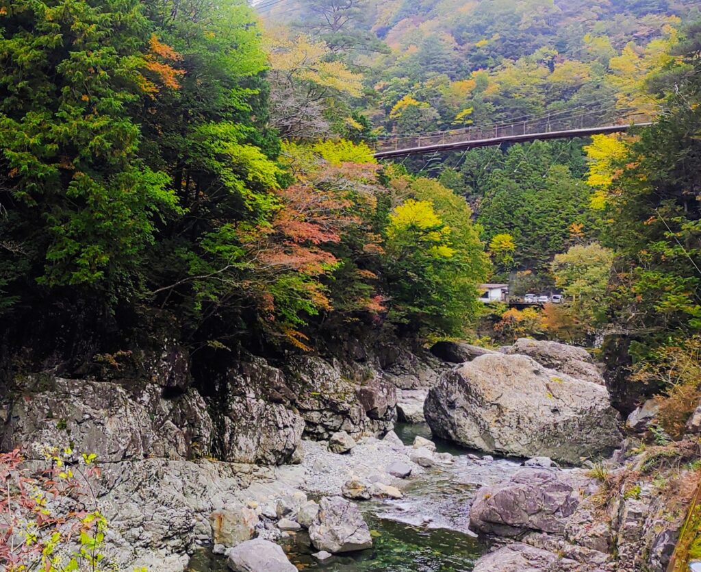 清流と紅葉の渓谷美