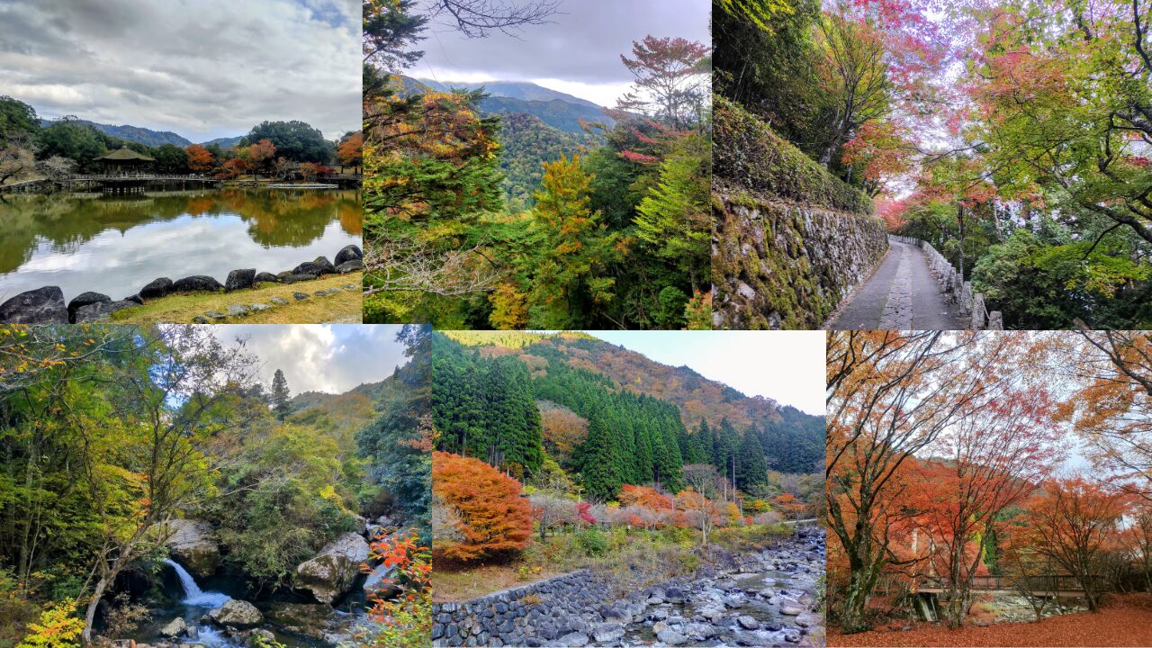 紅葉ツーリングスポットまとめ