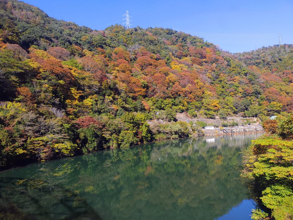 宇治川の紅葉