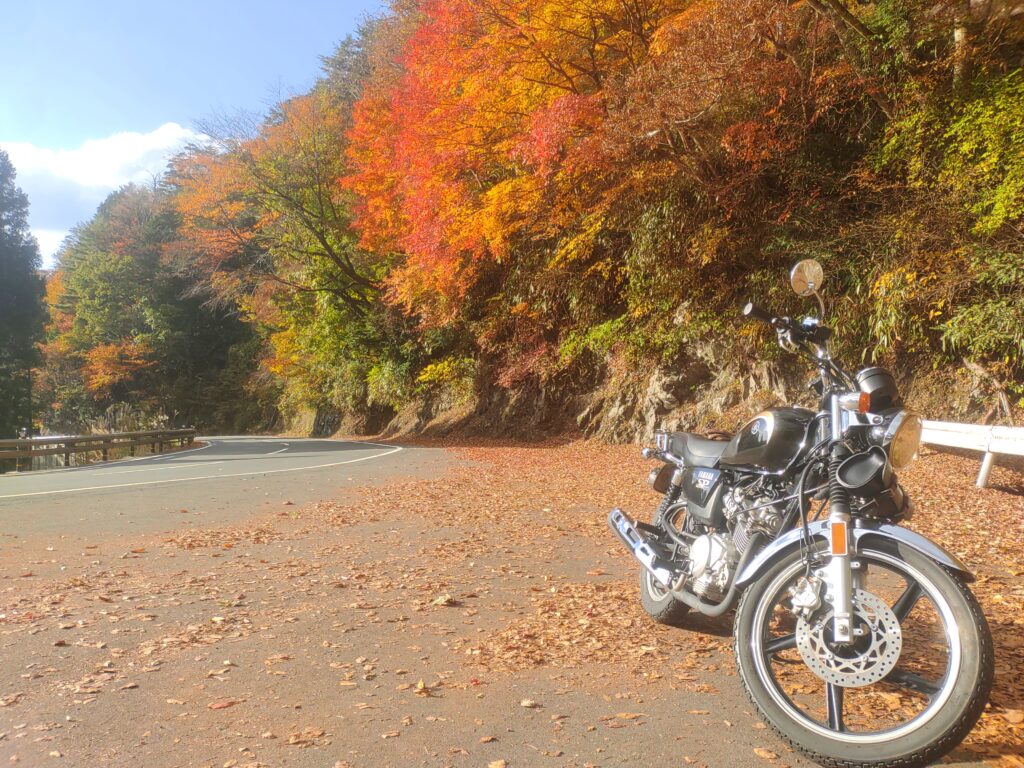 高野山展望台の紅葉とYB125SP