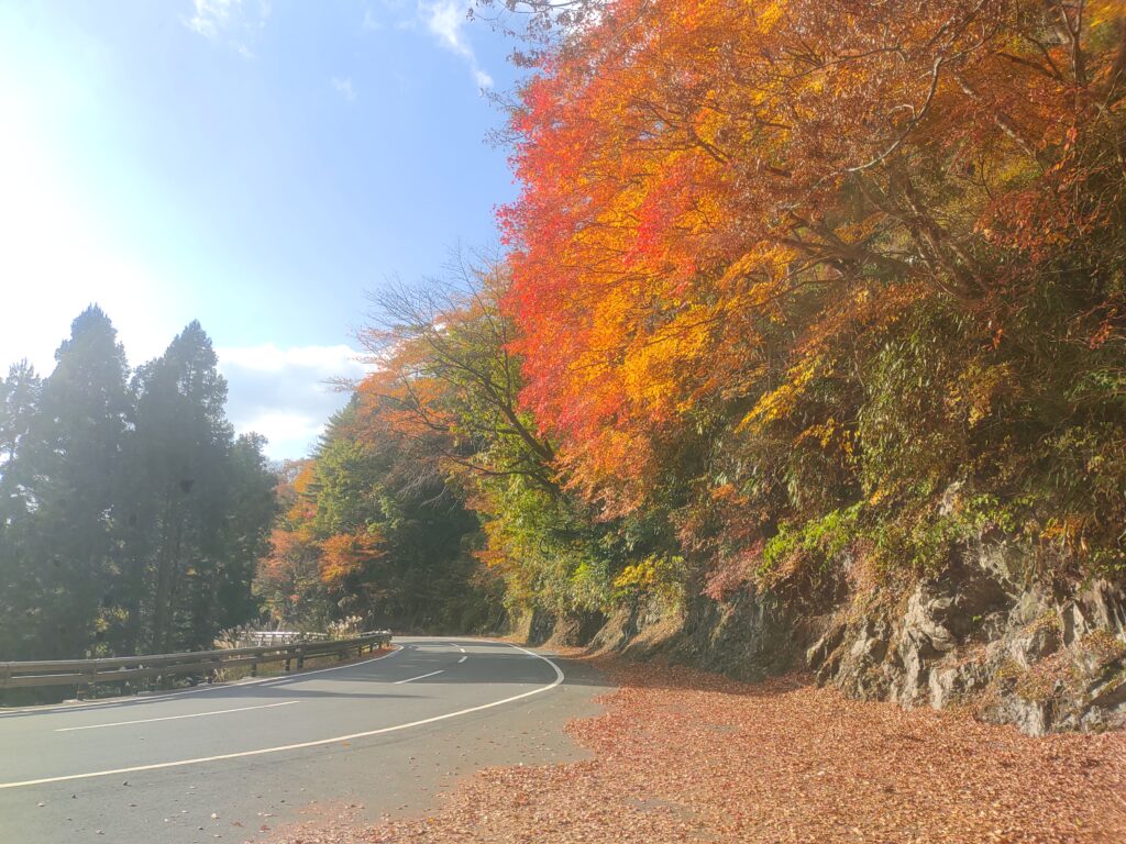 高野山の紅葉