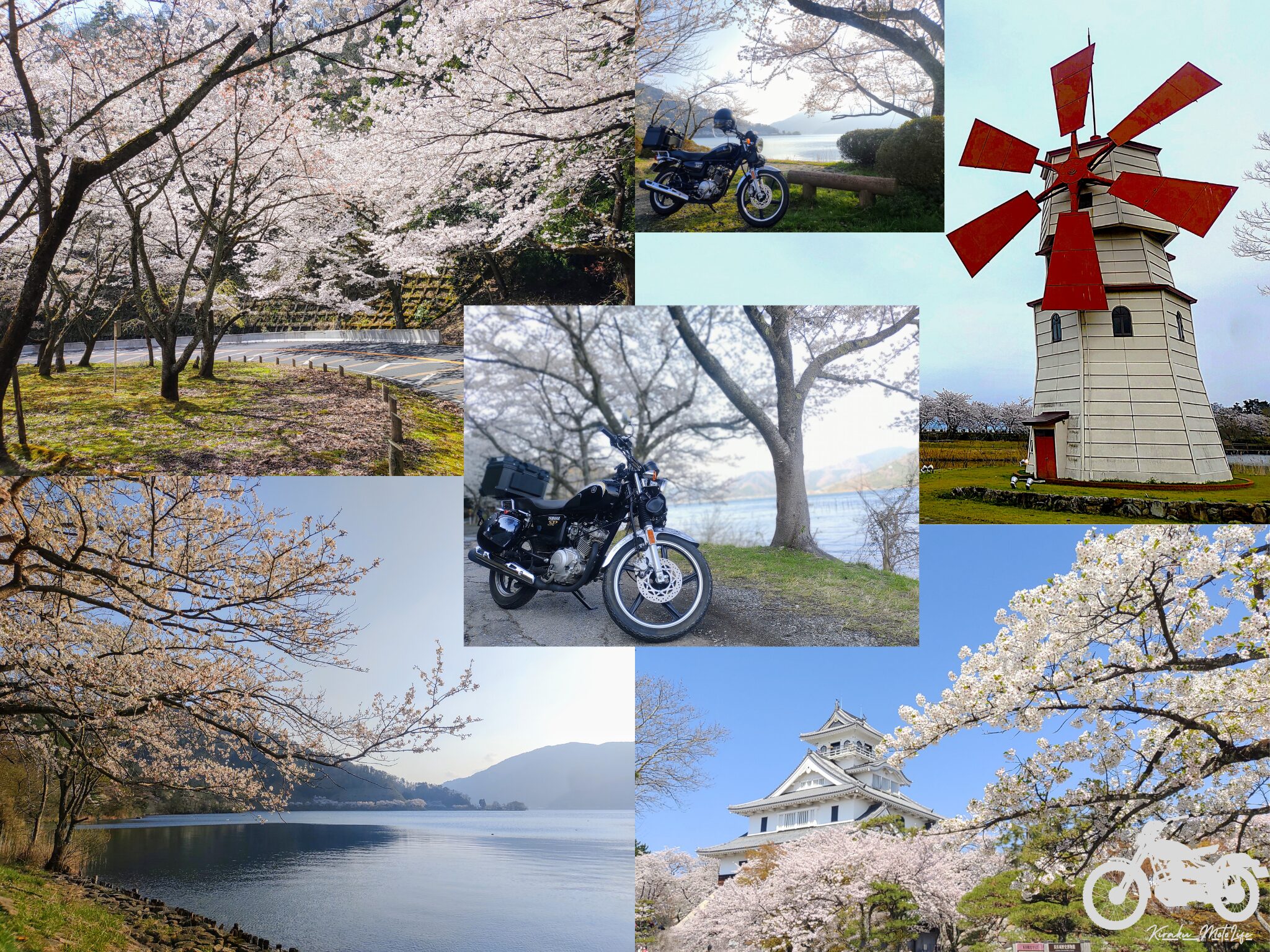 滋賀の桜ツーリングスポット