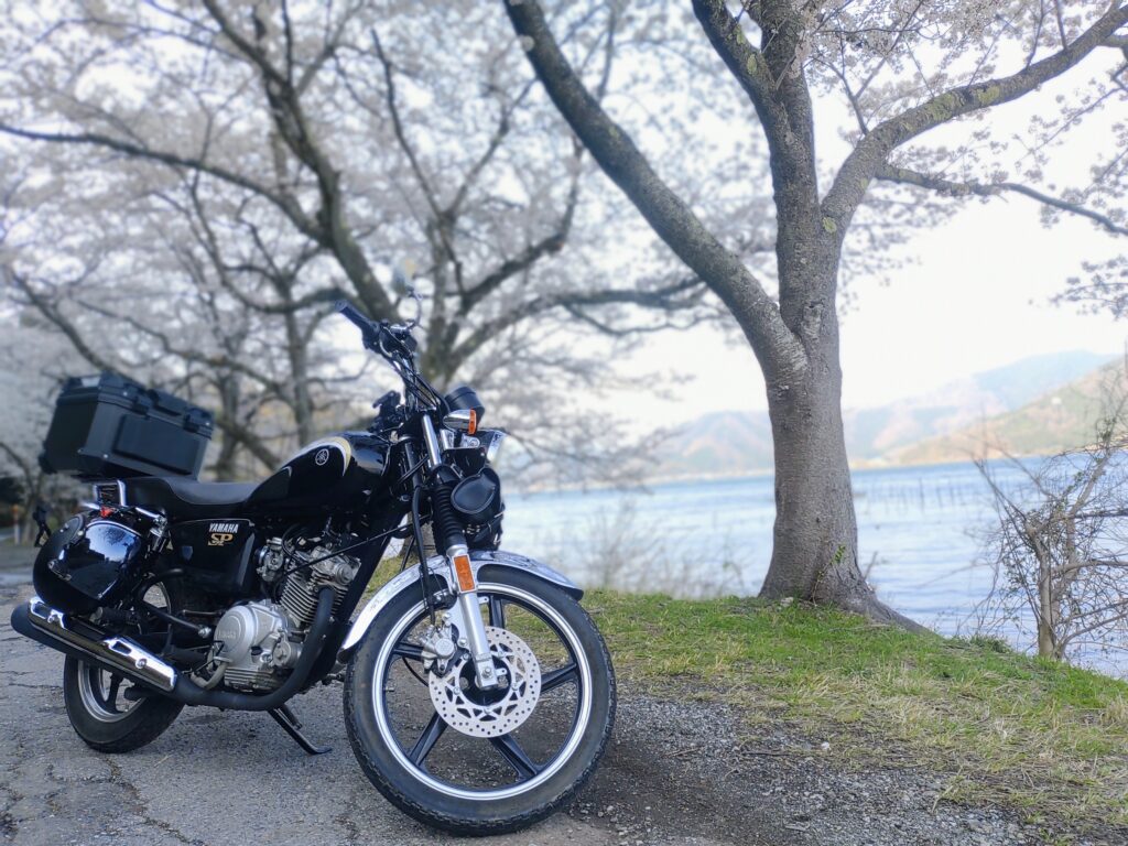 バイクと桜